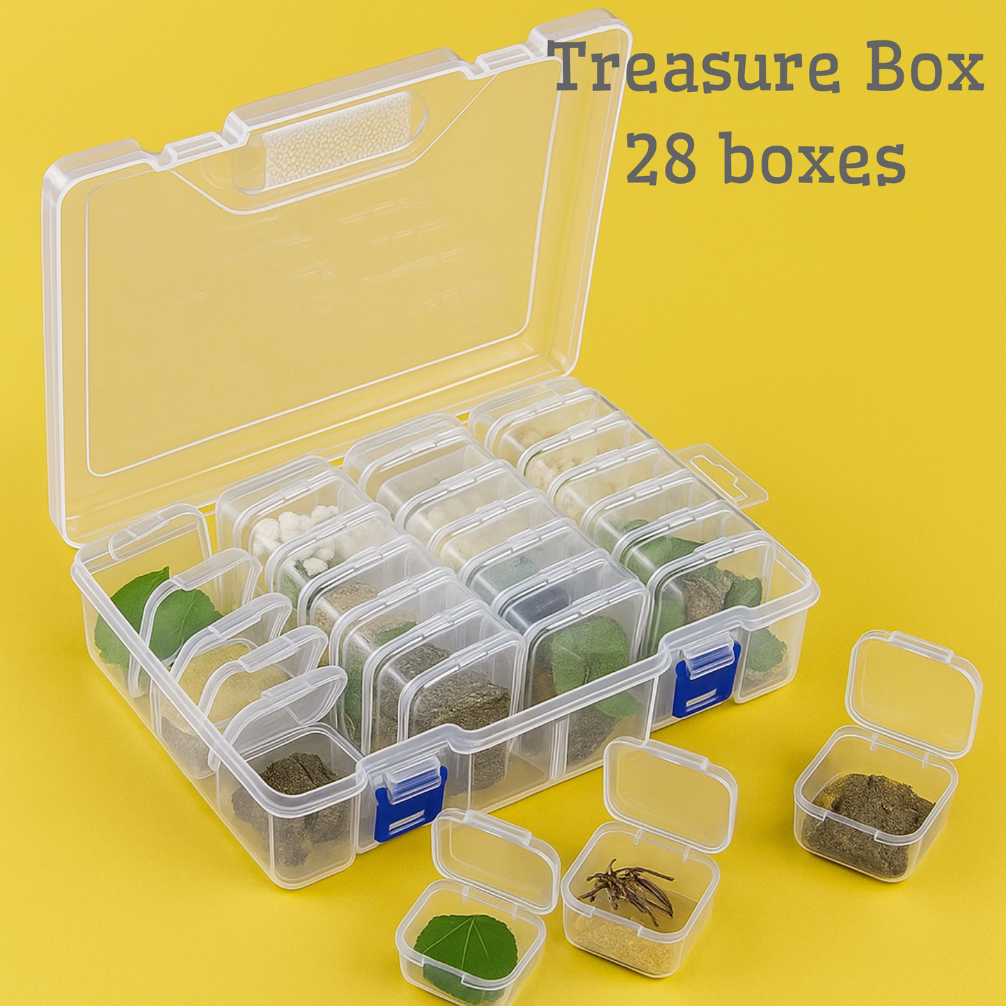 MicroExplorer
