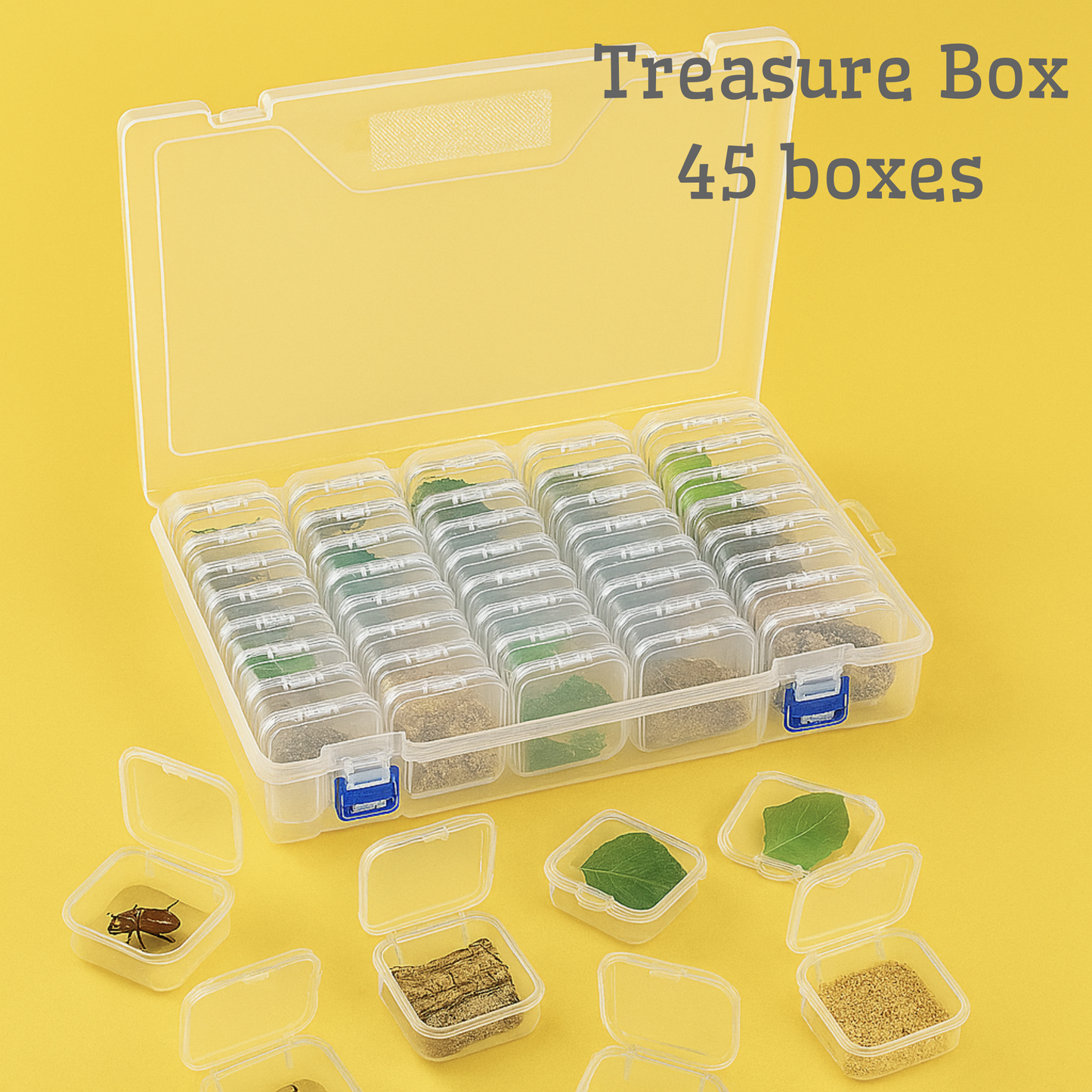 MicroExplorer