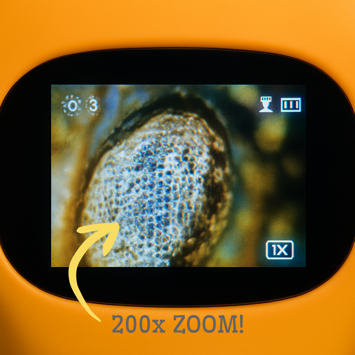 MicroExplorer