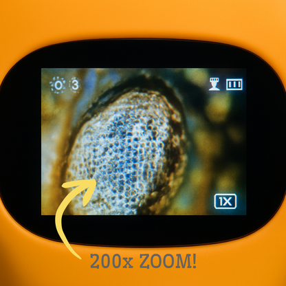MicroExplorer